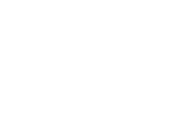 Wild Africa Gauteng, Cyber Security, Secure, Firewall, wagitnow, DLP,EDR,PAM, MDR, SOC, IRC, SDR, SIEM, UEBA, Endpoint Protection, Application Control, Threat Intelligence, Malwarebytes, Threat Down